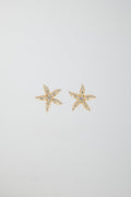 Starfish earrings - Shiny silver