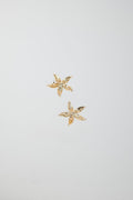 Starfish earrings
