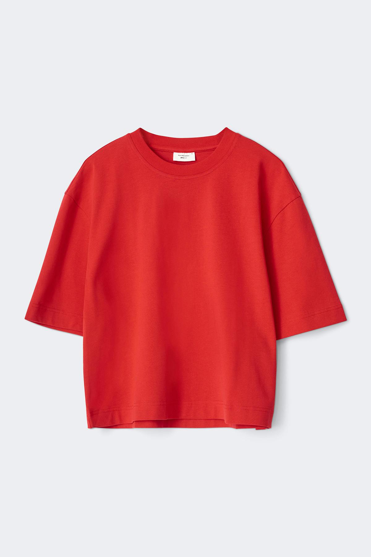 Perfect boxy tee - Aloe wash