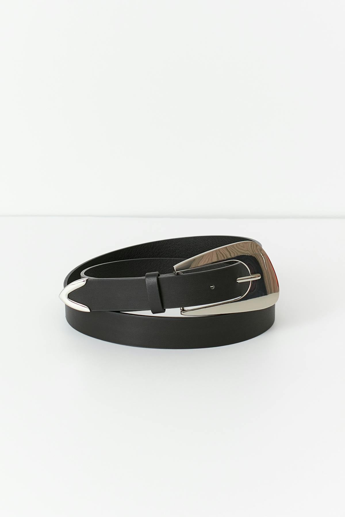 Hip belt - Black/silver