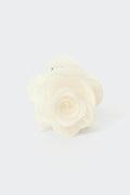 hair clip