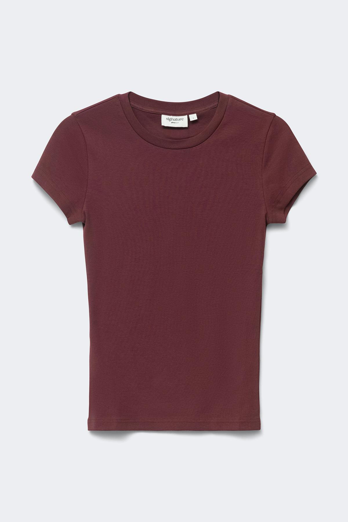 Perfect tight tee - Brown/blue stripe